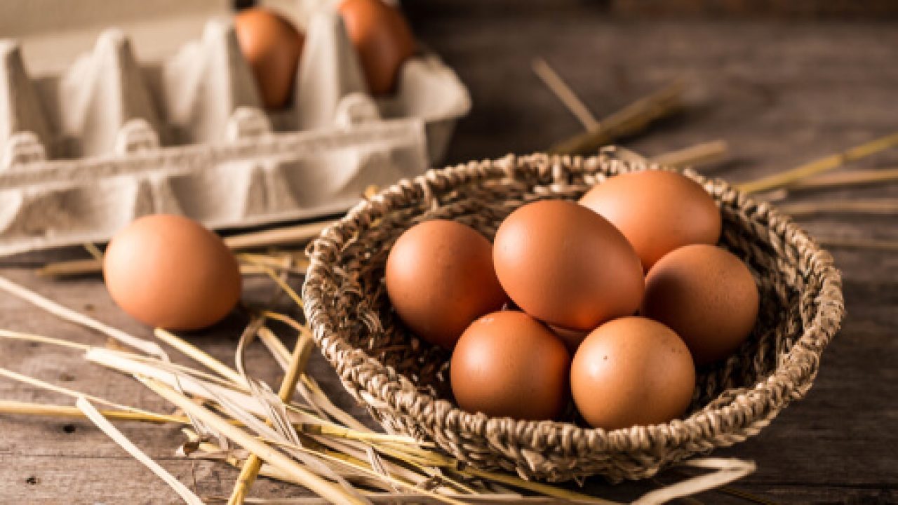 An Egg a Day may Keep Diabetes Away Says Study – Here's What