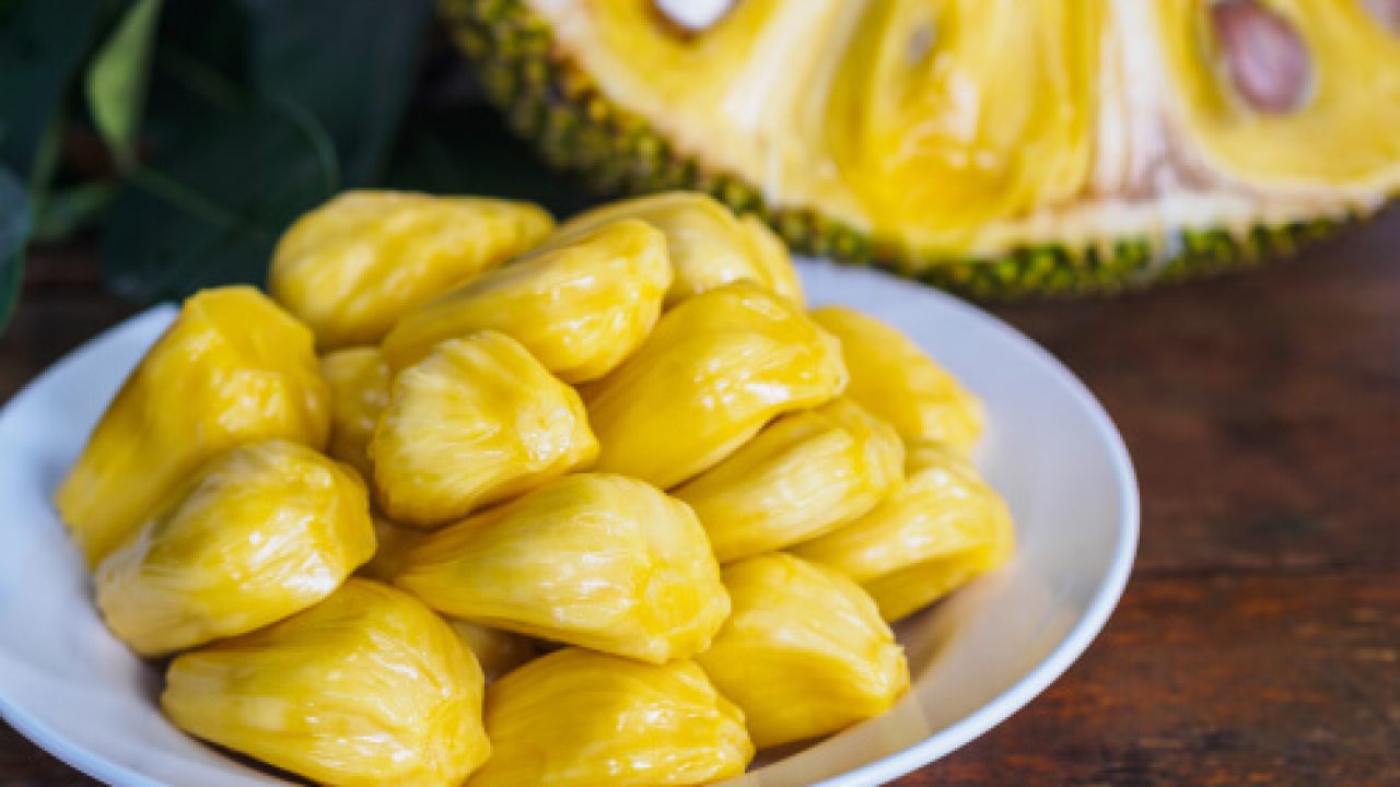 Jackfruit and its Varied Health Benefits You Need to Know About! | Vaya News
