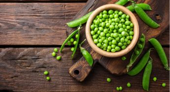 Is Mosambi Sweet Lime Juice Safe During Pregnancy Vaya News