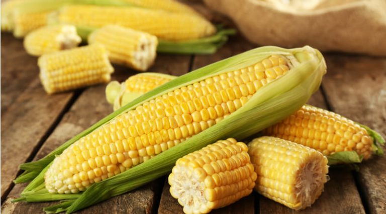 is-it-safe-to-eat-corn-during-pregnancy-vaya-news