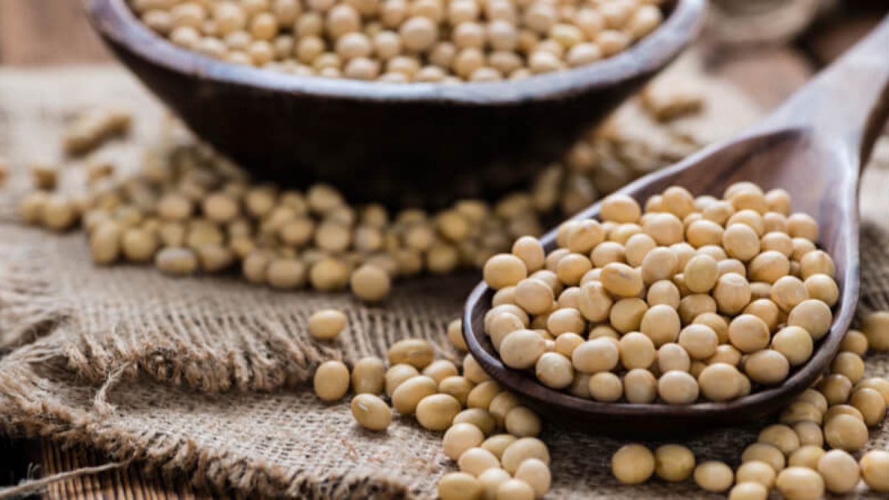 Easy Soybean Recipes You Would Love  HealthKart