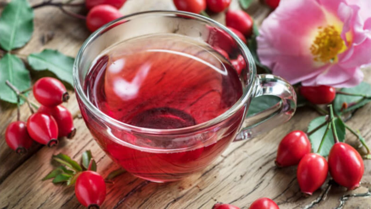 Do You Know About the Incredibly Beneficial Rosehip Tea? | Vaya News