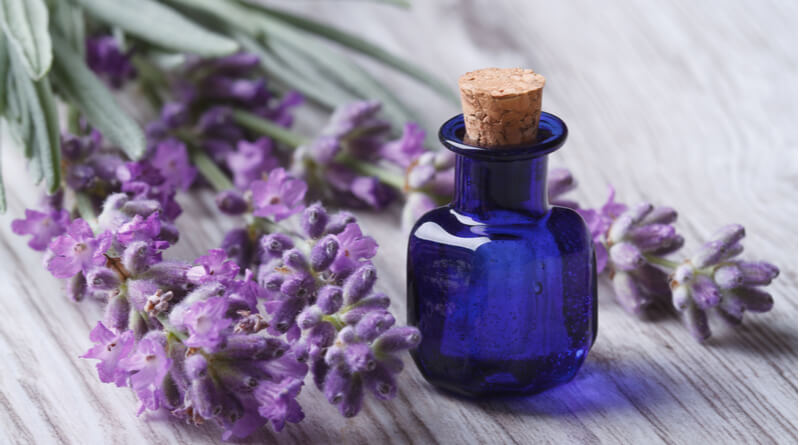 Lavender Oil