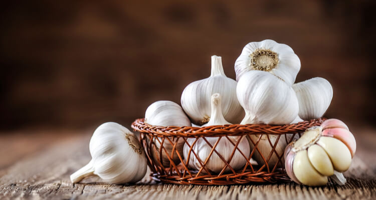 garlic