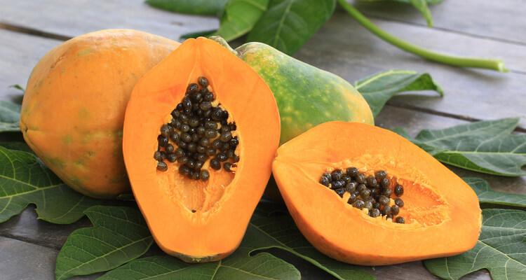 papayas for pregnancy