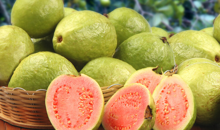 Benefits of Guava Leaves for Hair | Vaya News