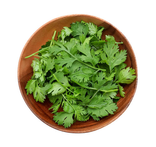 The Magic of Coriander