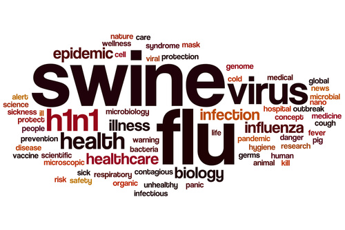 Swine Flu