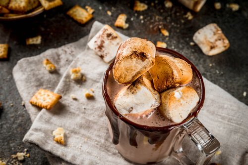 Malted Hot Cocoa with Toasted Marshmallows