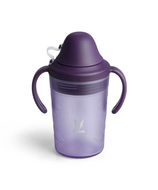   Frosted Purple   with Spout Lid Kids Water Bottle