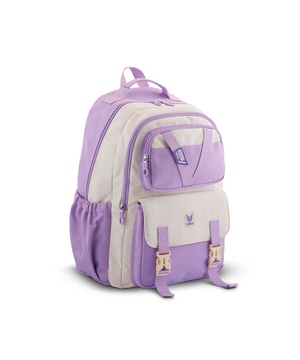 school-bags-for-class-6-to-10