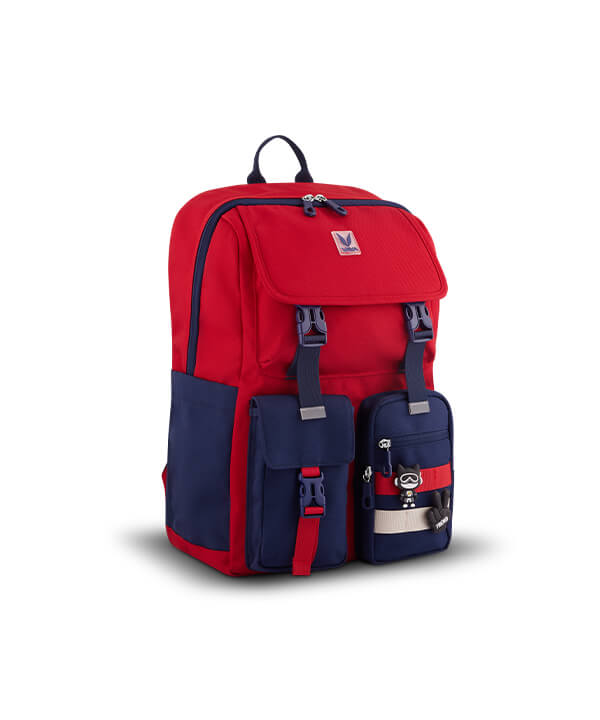 school-bags-for-class-6-to-10