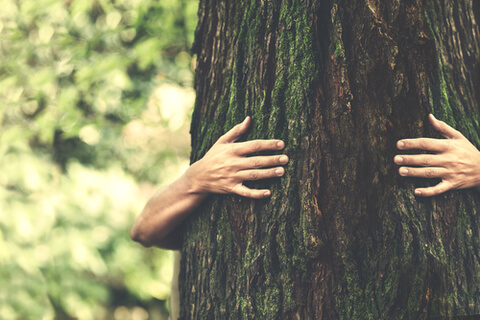 The importance of nature