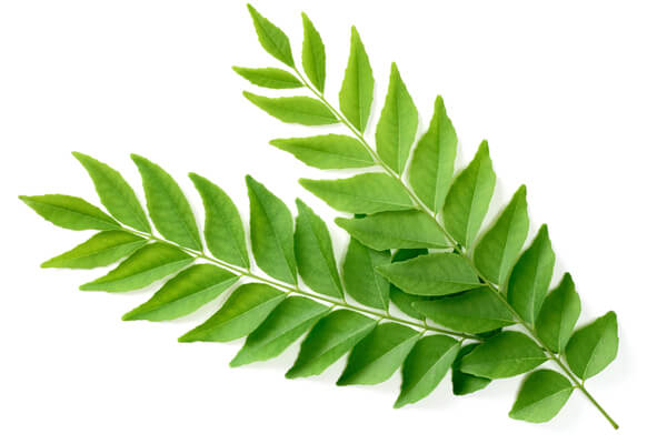 curry leaves