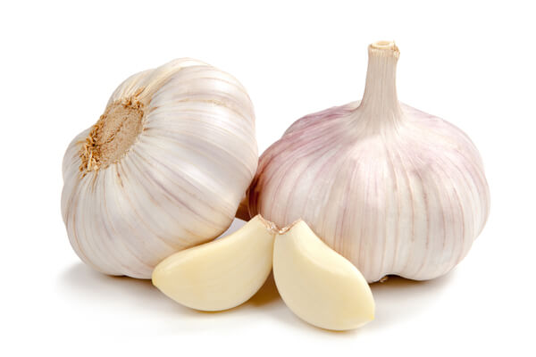 garlic