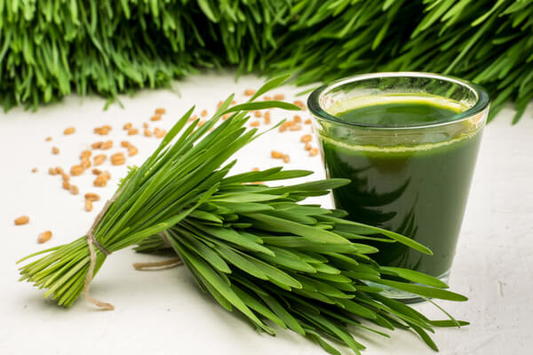 wheatgrass juice